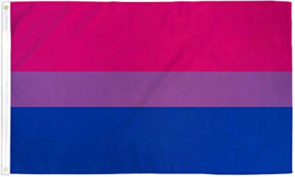 bisexual pride flag what does lgbt stand for
