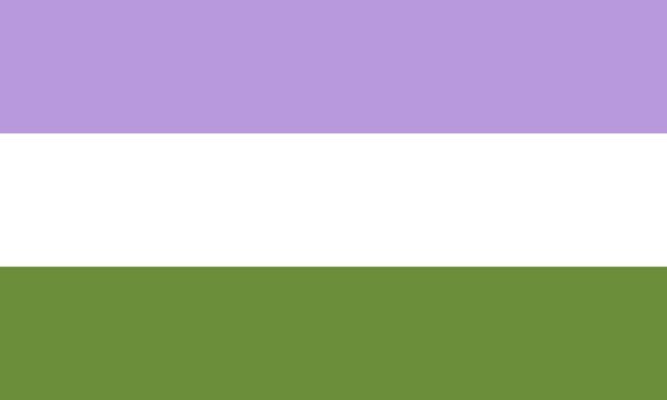 gender-queer-pride-flag