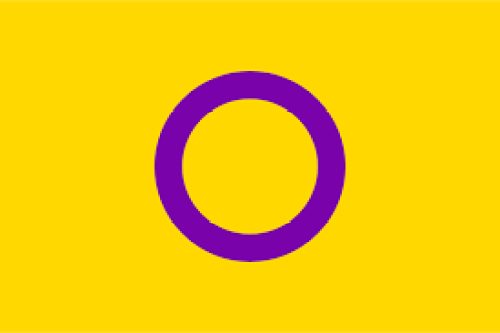 intersex pride flag lgbtqia meaning