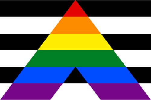 LGBTQIA-Ally-flag-for-supporters-of-queer-community