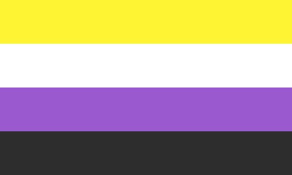 non-binary-pride-flag lgbtqia meanings