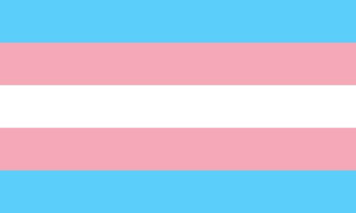 trans pride flag what does lgbt mean acronym