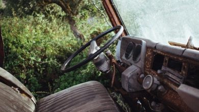 buy truck seat for back