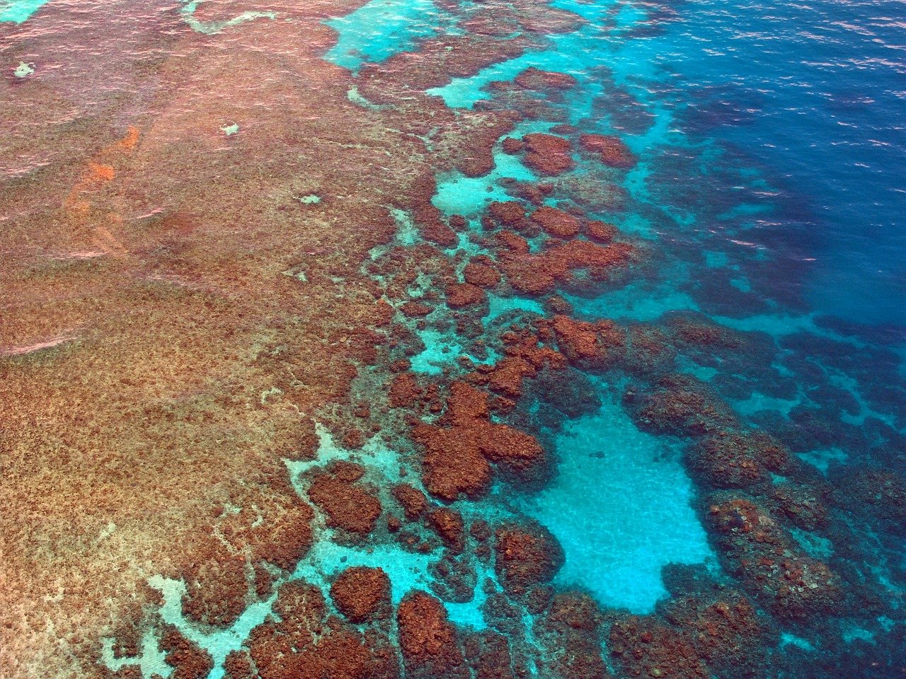 Great Barrier Reef Australia