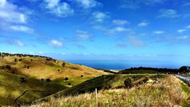 adelaide hills south australia