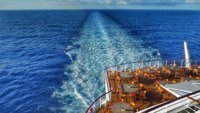 best sites for family cruises