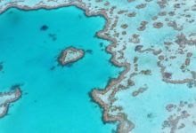 great barrier reef tours cairns port douglas