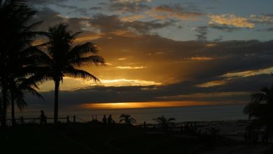 things to do in palm cove australia reef