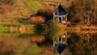 Cottage waterfront properties