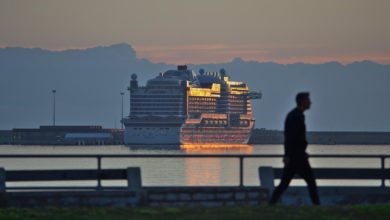 Cruise Ship Excursions Palma de Mallorca