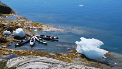 Kayaking in Greenland