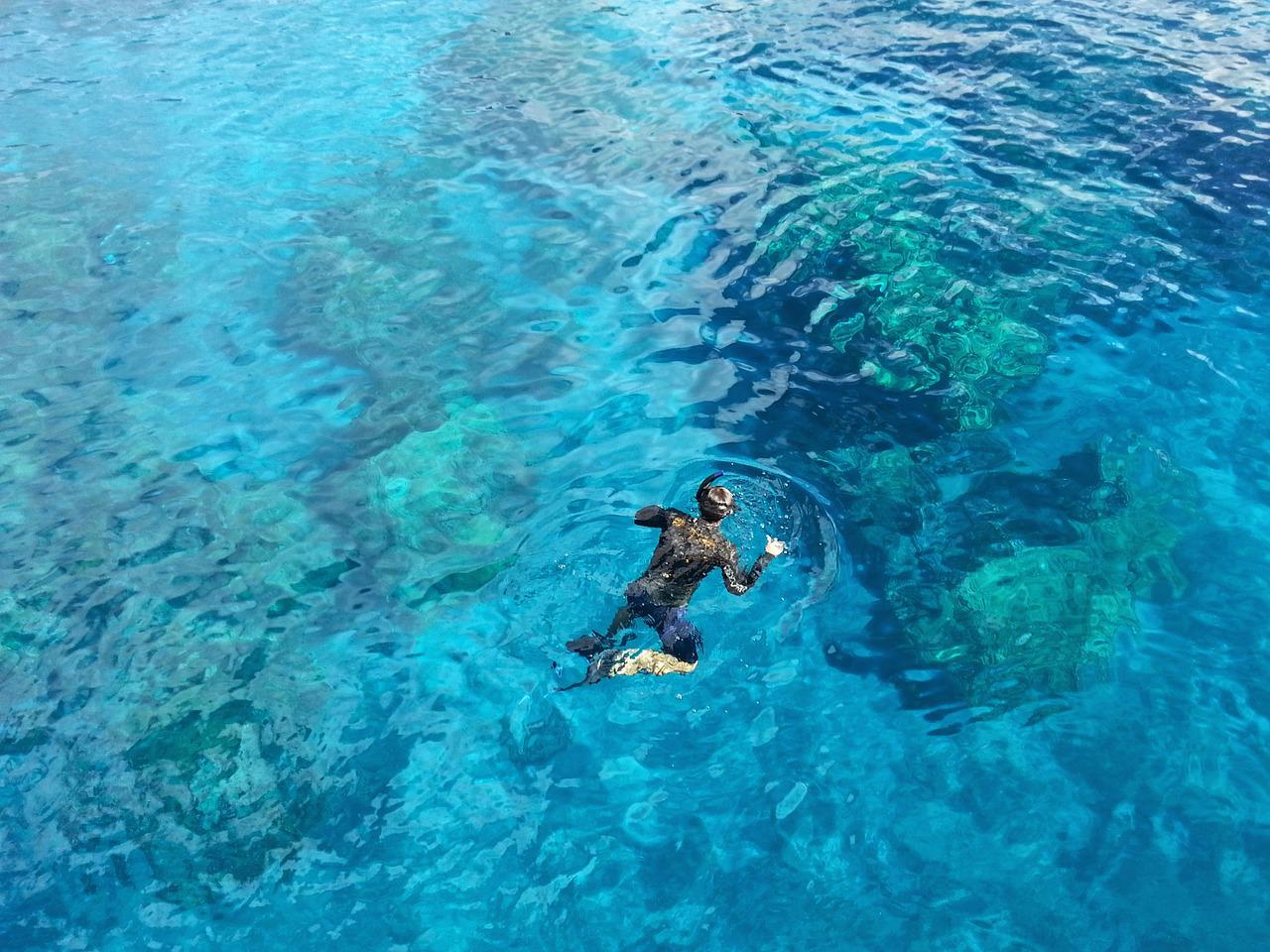 Snorkeling in the ocean