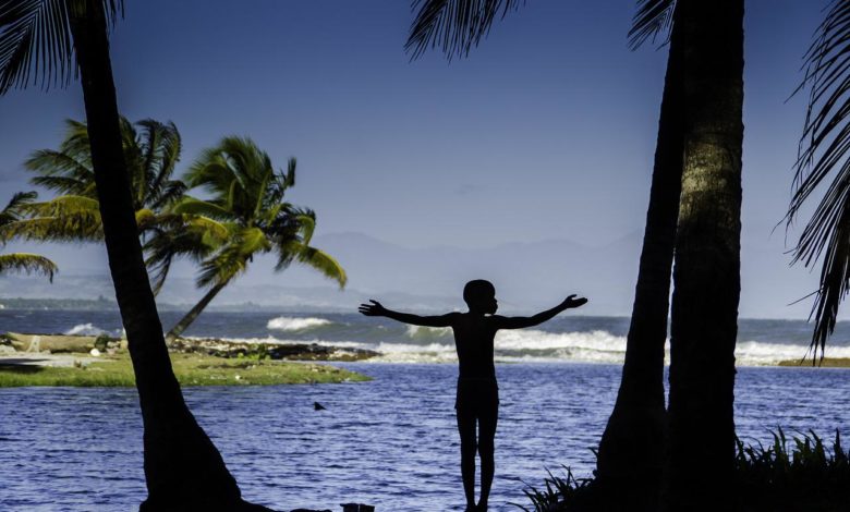 Water and Palm Trees in Haiti