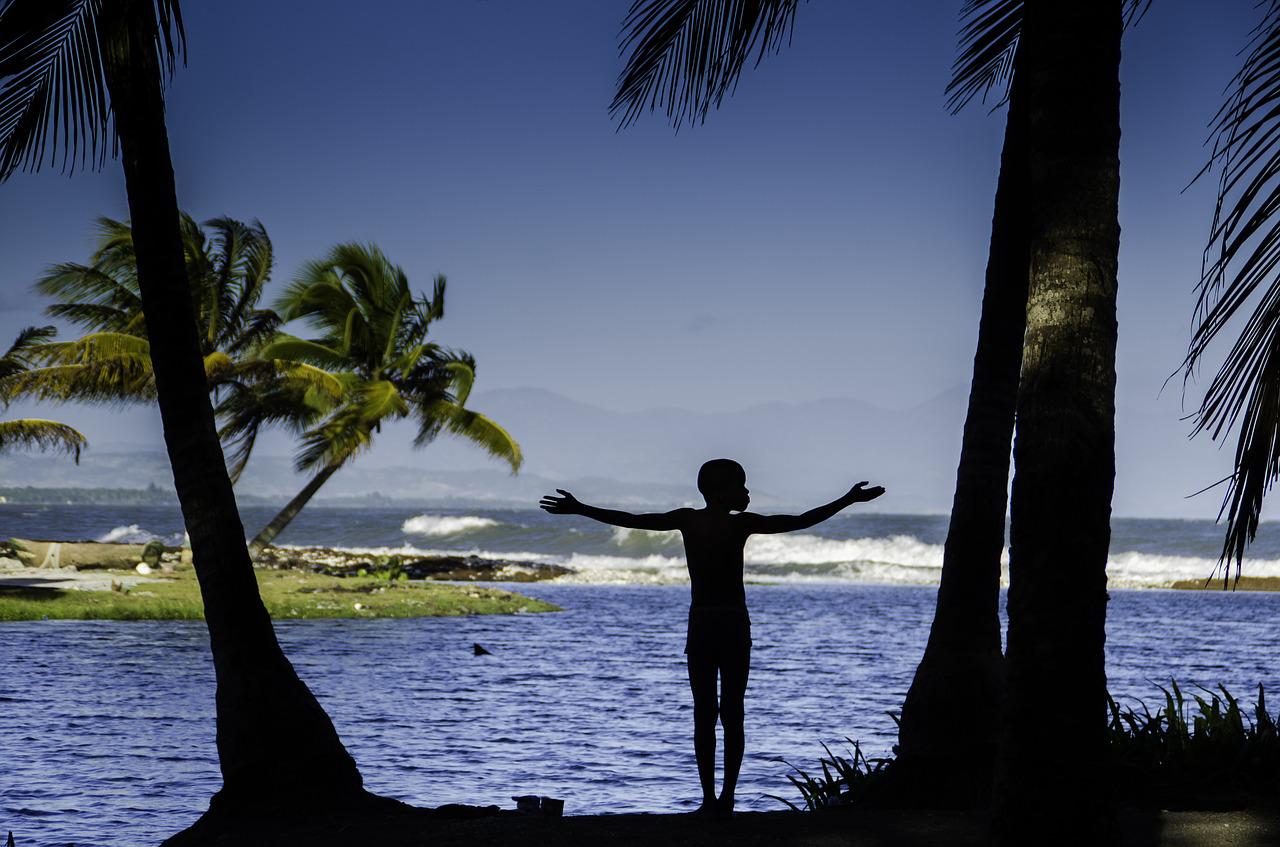 Water and Palm Trees in Haiti