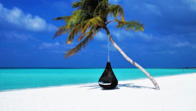 Maldives beach hammock
