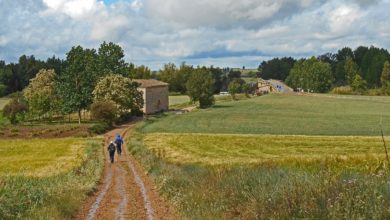 Camino De Santiago Spain