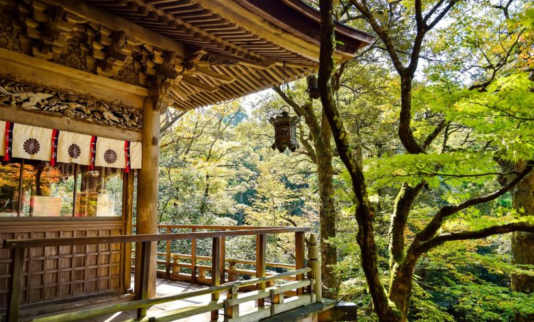 Japan Natural Landscape