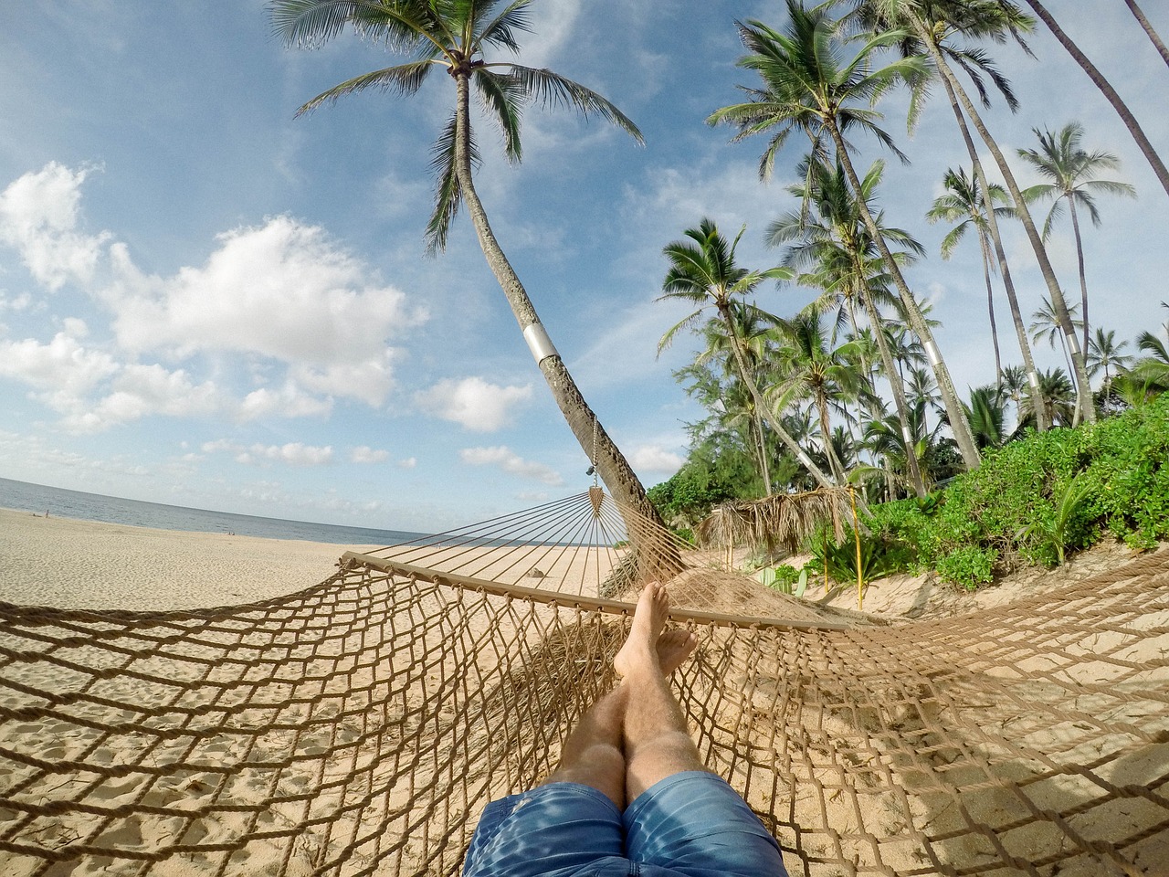 Dream Vacation Hammock on Beach